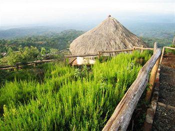 Mount Kilimanjaro View Lodge Moshi Bagian luar foto
