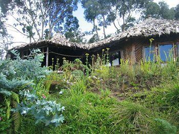 Mount Kilimanjaro View Lodge Moshi Bagian luar foto