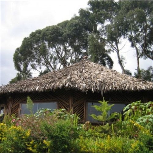 Mount Kilimanjaro View Lodge Moshi Bagian luar foto