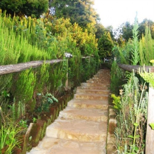 Mount Kilimanjaro View Lodge Moshi Bagian luar foto
